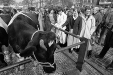 HvW-25038001 Vanmorgen bezochten VVV- informatrices uit Amsterdam de Veemarkt in de binnenstad.NNC, 25-03-1980